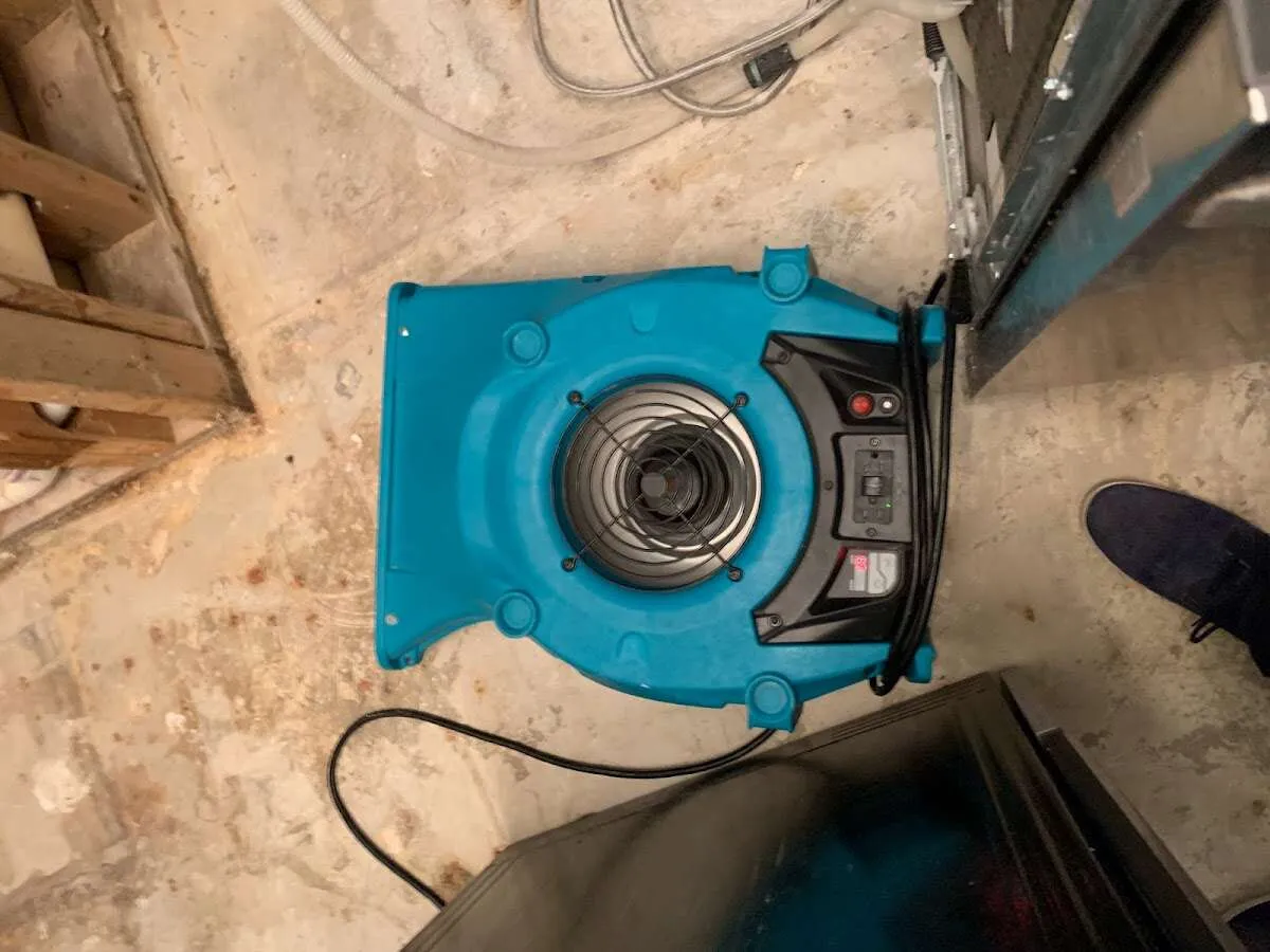 Air mover drying equipment for Mold Remediation & Removal in Port Orange